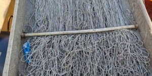 松花江护渔记：从炕头普法到江上收网