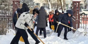 王杨乡：以雪为令齐行动 清雪除冰保畅通
