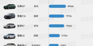 谁是2025辅助驾驶的交付黑马？销量数据指向元戎启行