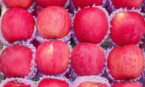 探寻美味之源 — 红富士苹果产地揭秘